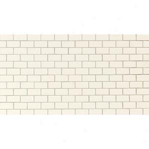 Daltile Keystones Blends Brickwork 2 X 1 (12 X 24) Brickwork White D317 21bwms1p