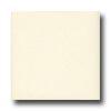 Daltile Keystones Perambrites Mosaic 2 X 2 Gloss Almond Tile & Stone