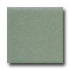 Daltile Keystones Permabrites Mosaic 2 X 2 Pretext Cypress Tile & Stone