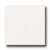 Daltile Keystones Unglazed Mosaic Penny Round Artic White Tile & Stone