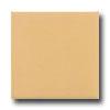 Daltile Keystones Ungla2ed Mosaic 2 X 2 Luminary Gold Tile & Stone