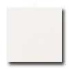 Daltile Keystones Unglazed Mosaic 2 X 2 Arctic White Tile & Stone