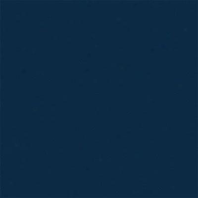 Daltile Liners Flat 1 X 6 Navy Tile & Stone