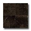 Daltile Marble Polished 12 X 12 St Laurent Oriental Tile & Stone