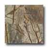 Daltile Marble Polished 12 X 12 Rainforest Green Tile & Stone