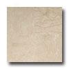 Daltile Matble Polished 12 X 12 Cafe Creme Marfil Classico Tile & Stone