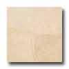 Daltile Marble Polished 18 X 18 X 5/8 Crema Marfil Classico Tile & Stone