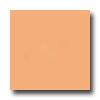 Daltile Natural Hues 2 X 2 Melon Tile & Stone