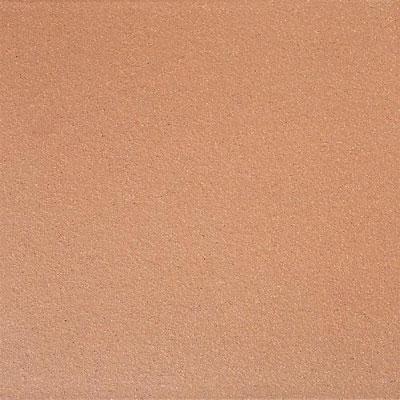 Daltile Qaurry Tile 6 X 6 (abrasive) Dry Flash Tile & Stone