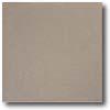 Daltile Quarry Tille Abrasive 6 X 6 Tempest Gray Tile & Stone