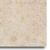 Daltle Ridgeview 18 X 18 Beige Tile & Stone