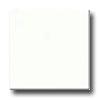 Datile Rittenhouse Buffoon 3 X 6 White Tile & Stone