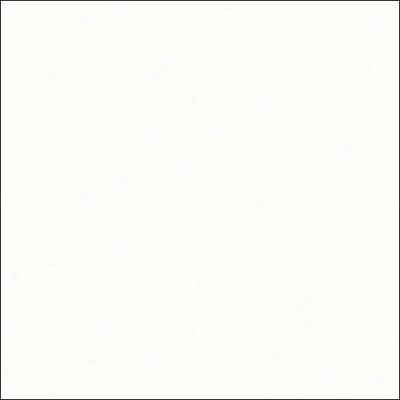 Daltile Rittenhouse Square Brick Joint 2 X 4 White (semi Gloss) Tile & Stone