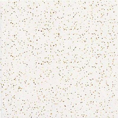 Daltile Semi-gloss 6 X 6 Arctic White Tile & Stone