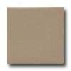 Daltile Semi-gloss 6 X 6 Elemental Convert into leather Tile & Stone