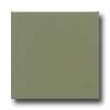 Daltile Semi-gloss 6 X 6 Garden Spot Tile & Stone