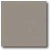 Daltile Suretread & Pavers 6 X 6 Gray Paver Tile & Stone