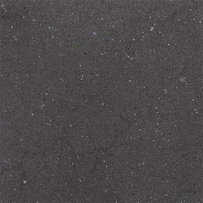 Daltiel Torreon 12 X 12 Coal Tile & Stone