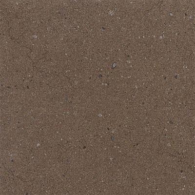 Daltile Torreonn1 2 X 24 Cacao Tile & Stone