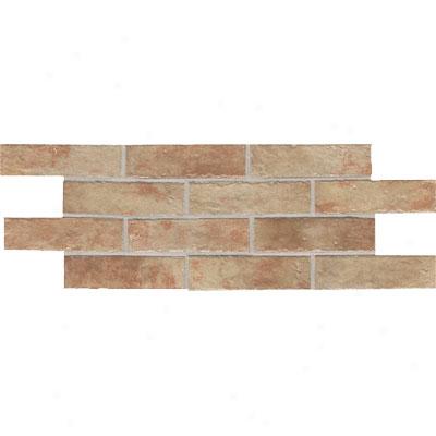 Daltile Union Square 2 X 8 Botch Brown Tile & Stone