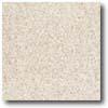 Daltile Vitrestone Select 12 X 12 Brownstone Tile & Stone