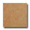 Earth Werks Aspen Aa801 Vinyl Flooring