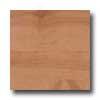 Earth Werks Wood Antique Plank Nwt9402cdbe Vinyl Flooring