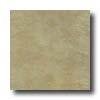 Eliane Athena 16 X 16 Beige Tile & Stone