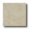 Eliane Athena 16 X 16 Marfil Tile & Stone