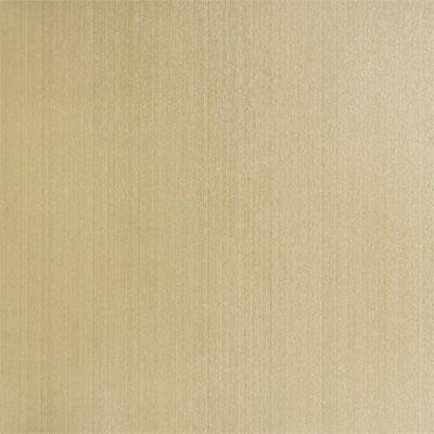 Elida Ceramica Raij 24 X 24 Tropical Tile & Stone