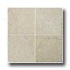 Emser Tile Antique & Tumbled Stone 3 X 6 Marble AncientT umbled Crema Marfil Tile & Stone