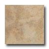 Emser Tile Cardiff 13 X 13 Caramel Tile & Stone