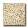 Emser Tile Granite 12 X 12 Empress Gold Tile & Stone