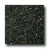 Emser Tile Granite 12 X 12 Emerald Pearl Tile & Stone