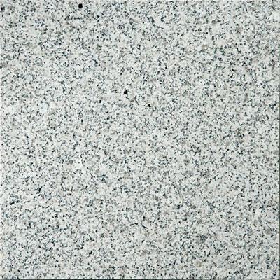 Emser Tile Grznite 12 X 12 Bianco Catalina Tile & Stone