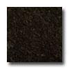 Emser Tile Granite 12 X 12 Marrone Nero Tile & Stone