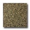 Emser Tile Granite 12 X 12 Tropical Brown Tile & Stone