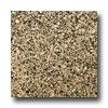 Emser Tile Granite 12 X 12 Figurative Tan Tile & Stone