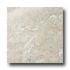 Emsrr Tile Marble 12 X 12 Azzurro Notte Tile & Stone