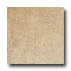 Emser Tile Maya 18 X 18 Palenque Tile & Stone