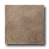 Emser Tile Morfos 20 X 20 Tessaglia Tile & Stone