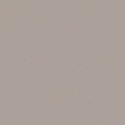 Ergon Tile Basic Polished Finish 24 X 24 Silver Gray Tile & Stone