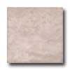 Florida Tile Basalto 18 X 18 Beige Tile & Stone