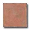 Florida Tile Cotto 12 X 12 Rubino Tile & Stnpe