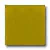 Florida Tile Dimension Glass Mosaic 1 X 2 Yellow Tile & Stone