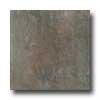 Florida Tile Frontieer 18 X 18 Twilight Tile & Rock