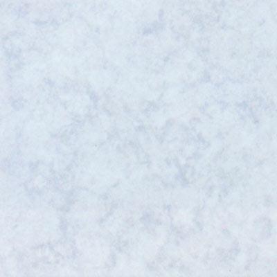 Florida Tipe Glacier 12X  12 Norwegian Blue 5467