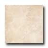 Florida Tile Gran Canyoh 13 X 13 Williams Tile & Stone