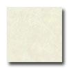 Florida Tile Las Olas 19 X 19 Sand Dollar Tile & Stone