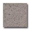 Florida Tile Metropolitan Quarry 8 X 8 Quarry X Color Stone Gray Tile & Stone